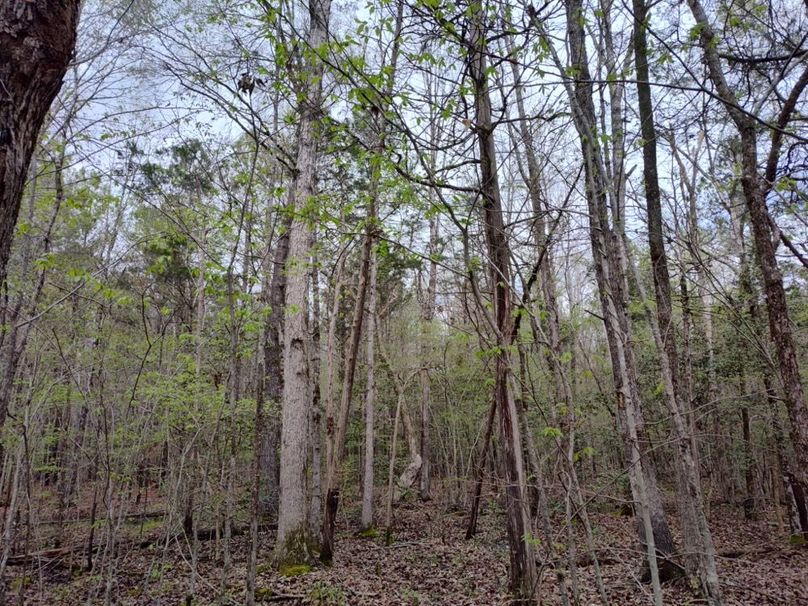 IMG_20250412_134921892_HDR
