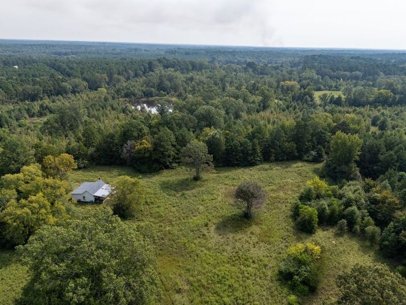 45 Edited Harison co. 206 - Ed Robb-005