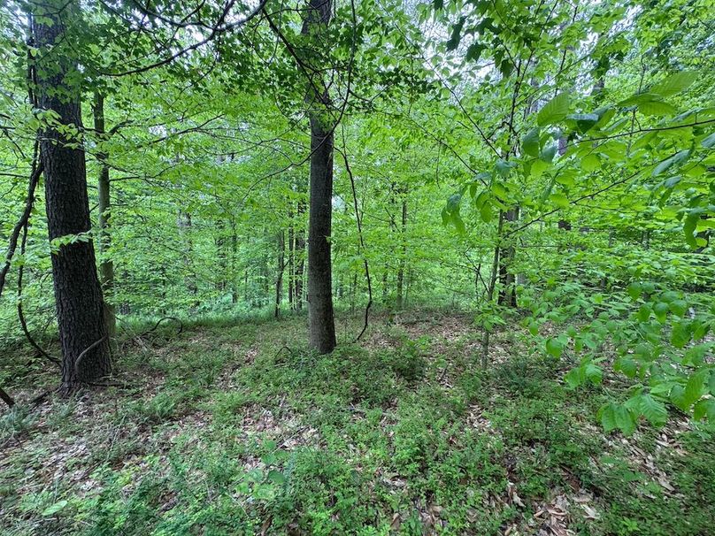 Pleasants, WV 168.59 AC Superior, Swank, Young-086
