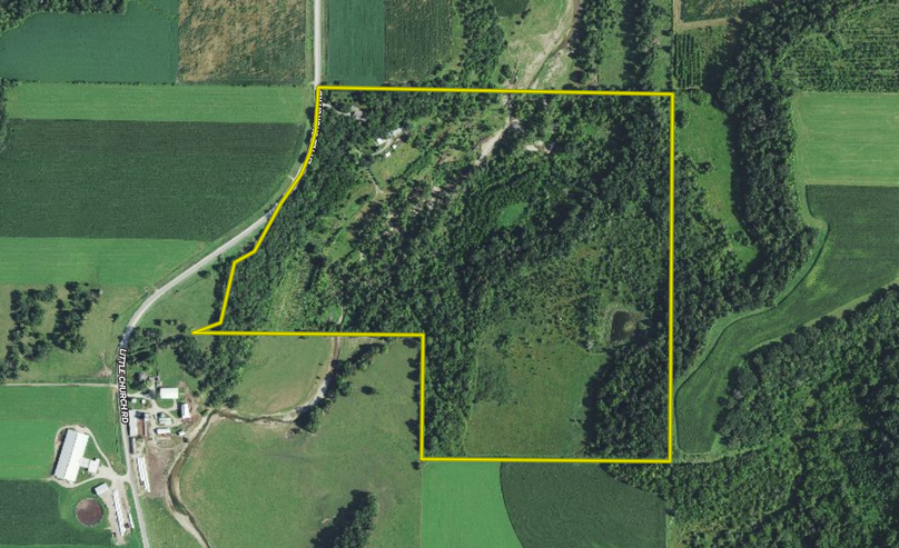 Screen Shot 2024-03-28 at 1.22.40 PM