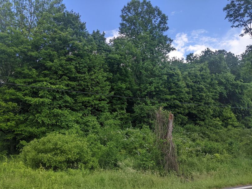 PXL_20230530_212959806