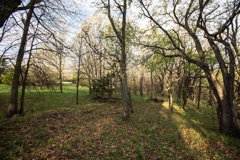 MONTGOMERY CO IA. 156.78_63