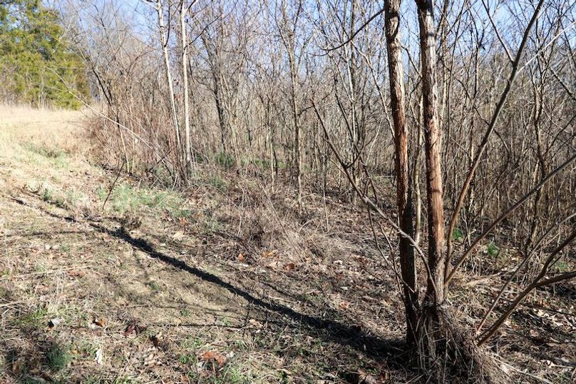 020 more evidence this property is being used by some good bucks