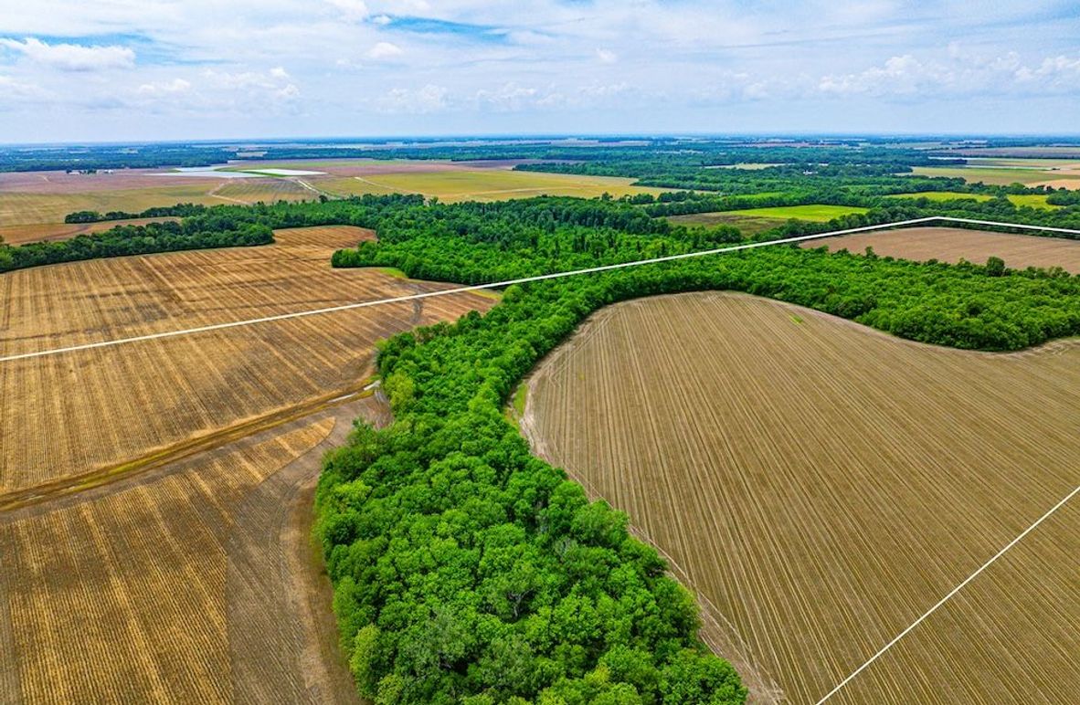 Copy of Noxubee 112.1 +- Tract 1-02