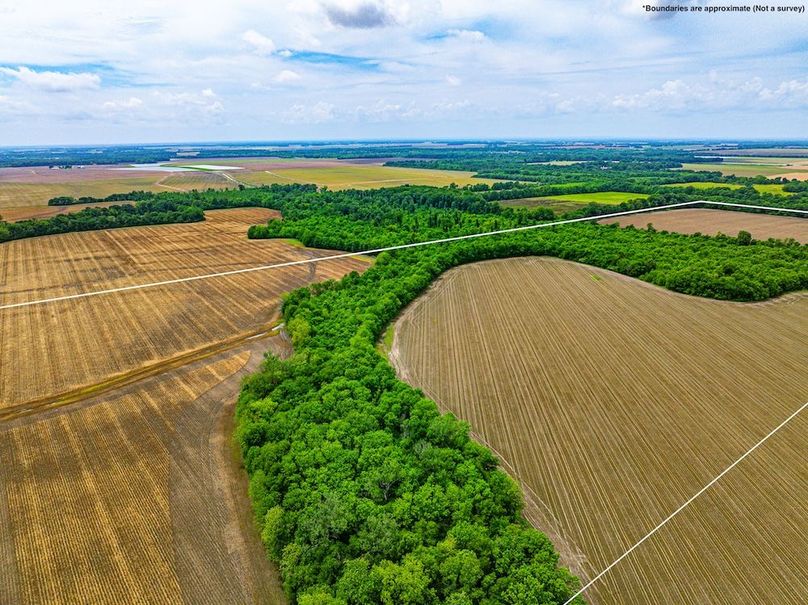 Copy of Noxubee 112.1 +- Tract 1-02