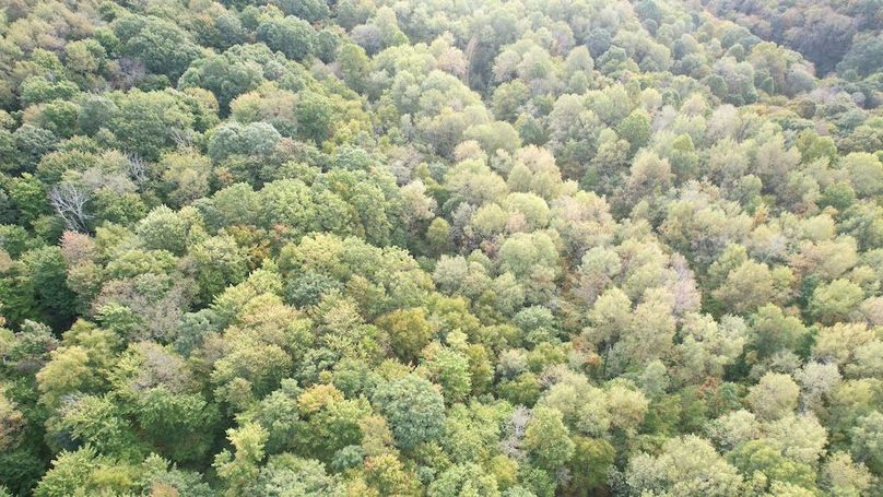 dji_fly_20240919_092038_675_1726752700364_photo