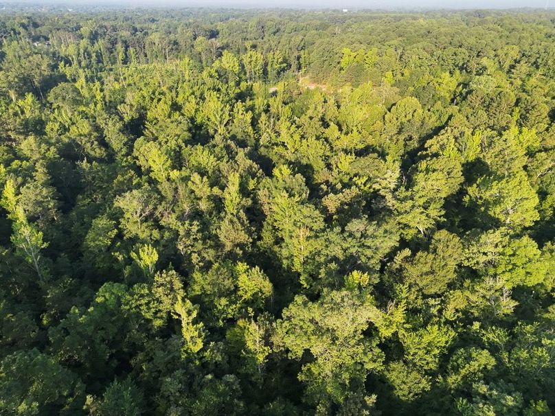 DJI_20250627072134_0028_V