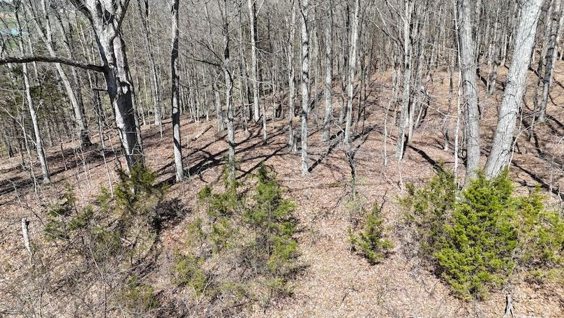 DJI_20260324123937_0145_D