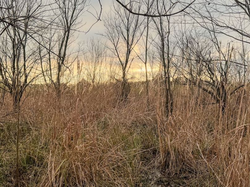 Monroe 80 Driver Dixon (Final Frontier) -10