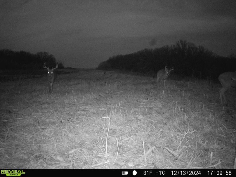 868032065258547-100-4-12132024171130-HD-SYFW7510