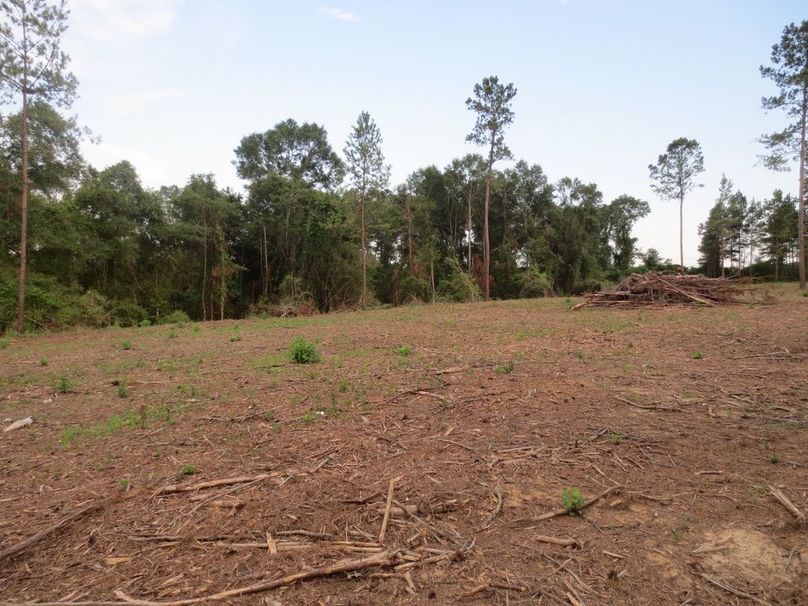 D35E5B13-46AA-43E8-ADEB-40C88E755A18_1_105_c