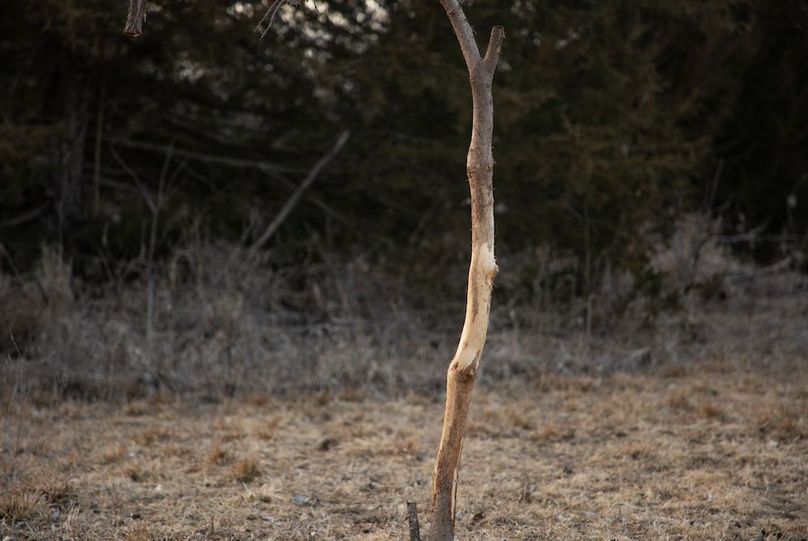 MONTGOMERY CO IA 156.78_6