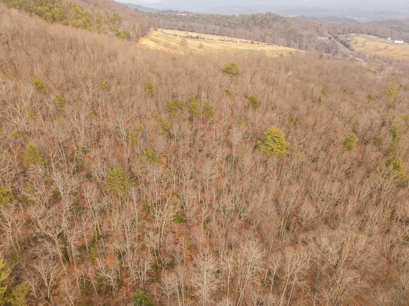 DJI_20260304155108_0002_D