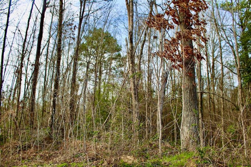 7A045B50-048C-4404-811E-9B04C5261833_1_201_a