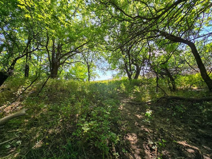 Copy of 20250729_111618