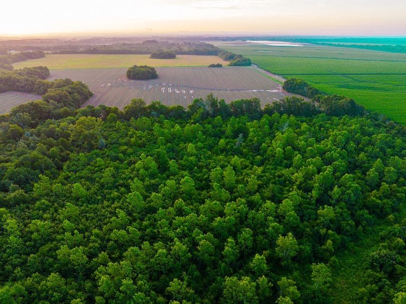 Copy of Noxubee 70 +- Tract 3-19