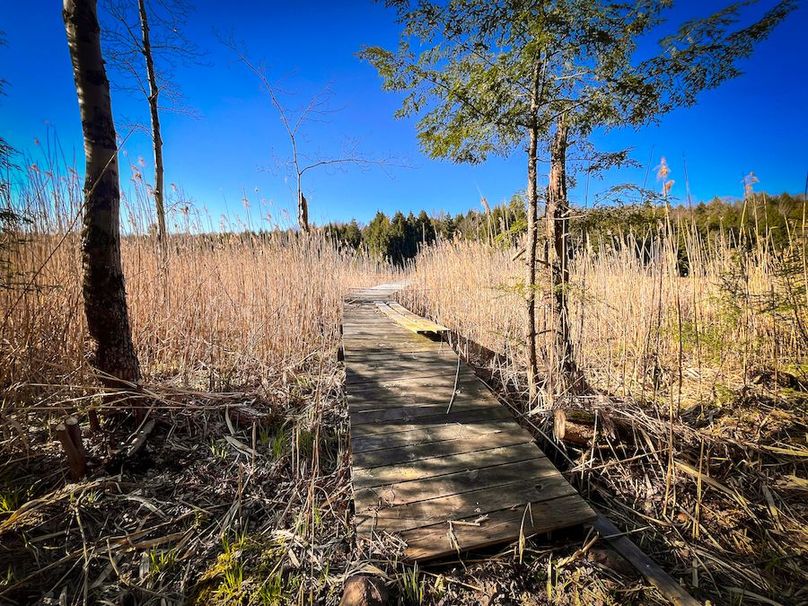 Oswego_17.88_Feld_Photos_55