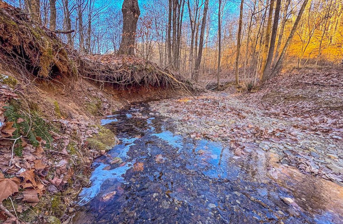 Pleasants, WV 81 AC Barron-07