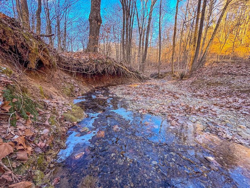 Pleasants, WV 81 AC Barron-07