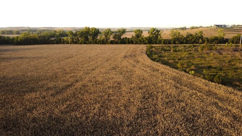 Copy of MILLS CO IA 51.37 - TRACT 2_20