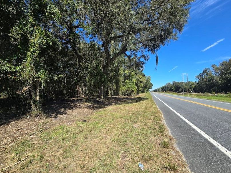 7.8ac, Citrus, Andrew Goering02