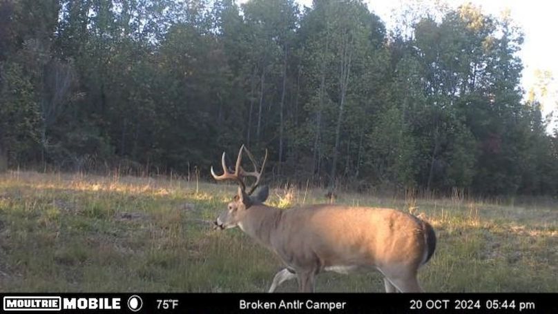 Benton 133.5 Trail Cam-03