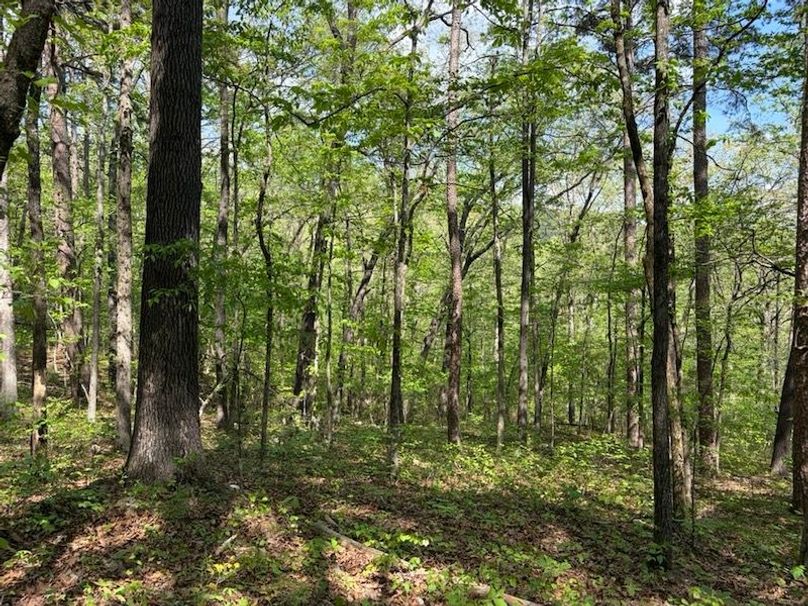 F771BCEF-CBA3-463C-8550-C7CA77737C9B_1_105_c