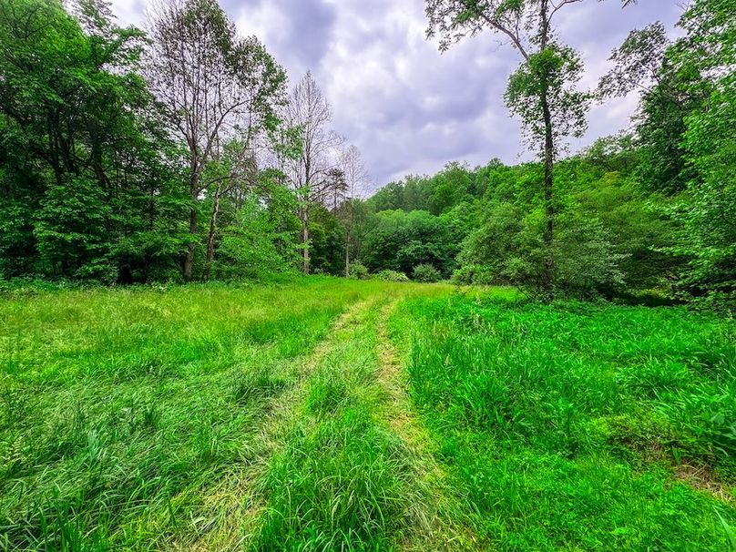 Tyler, WV 313.87 AC -44
