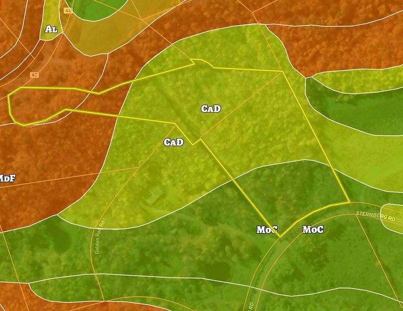 Schoharie Co 9.4 Macallister soil map