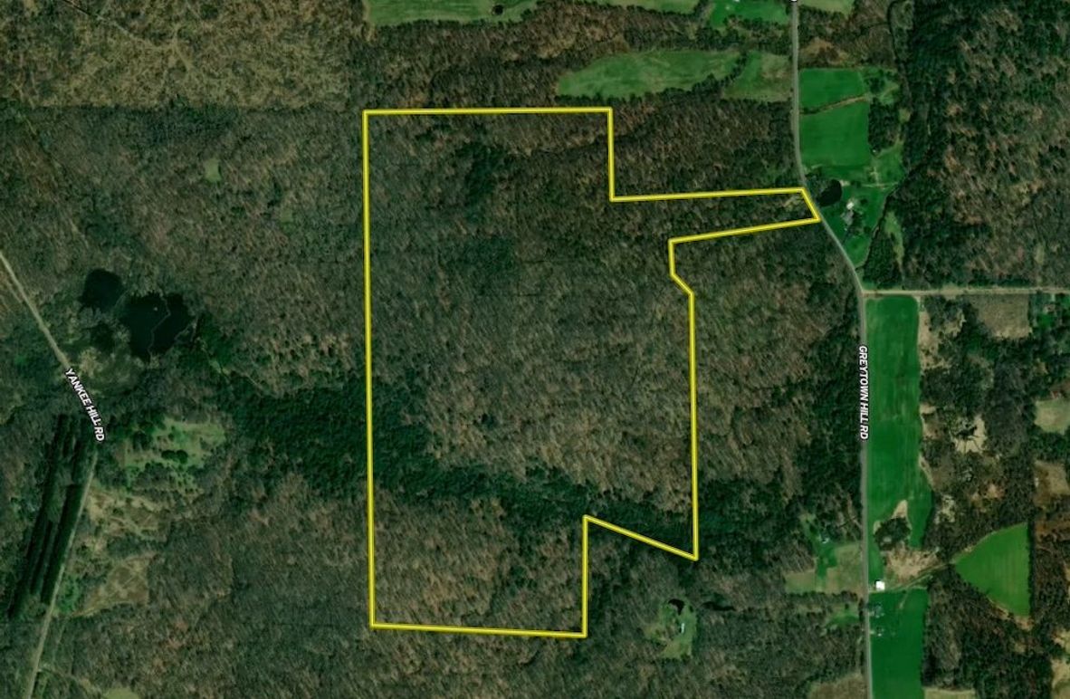 Screen Shot 2025-04-29 at 7.38.05 PM