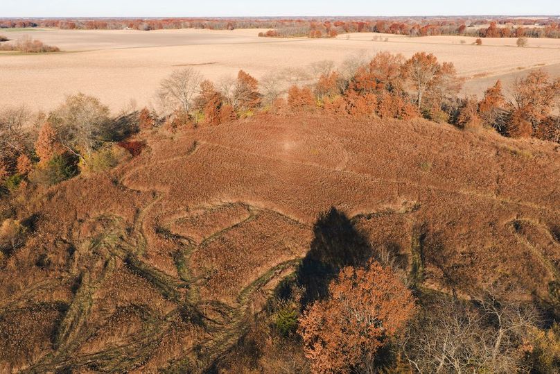 DJI_20251116083113_0107_D