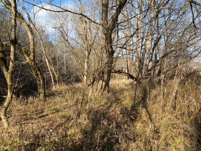 021 some of the river bank forested areas between the fields and the river copy