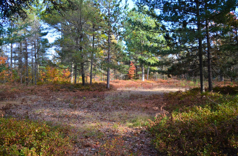 Screenshot 2025-11-14 at 11.32.51 AM