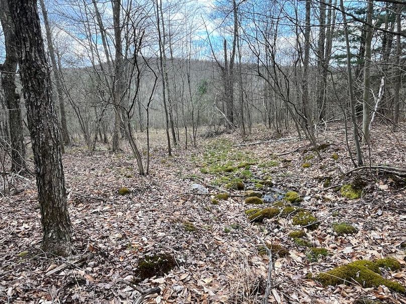 Chemung_100_Nye Photo 16