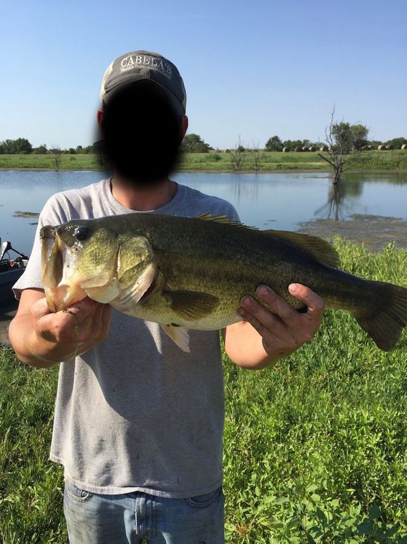 Grant Fish_AA_809_C1_C4}_BA