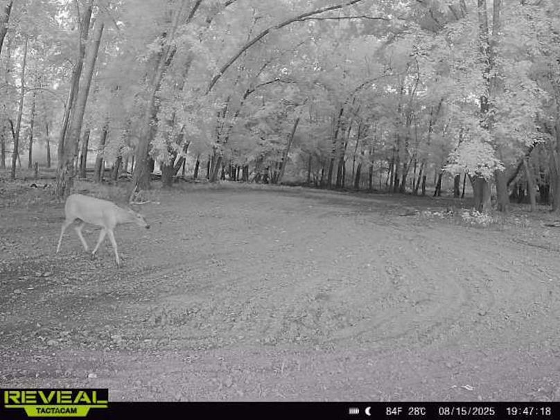 865814042080968-100-2-08152025194718-W1000101