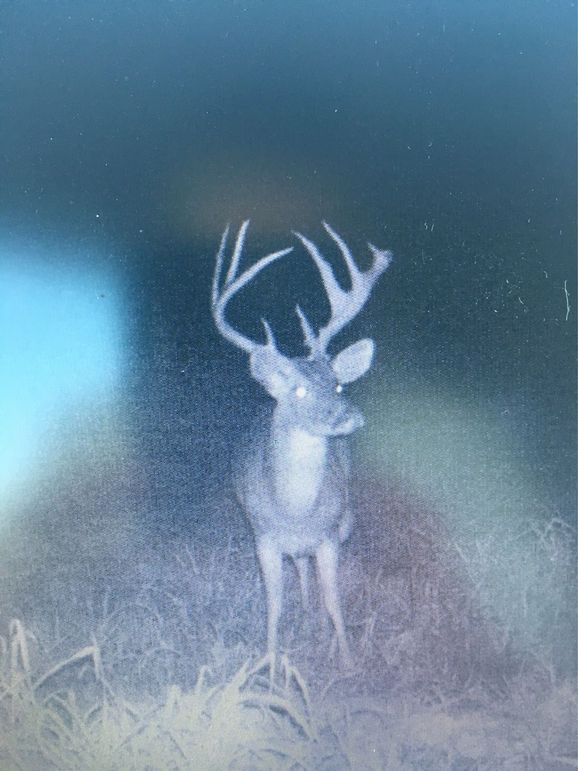 13E0203A-D7E2-4960-9D13-295541384FF2