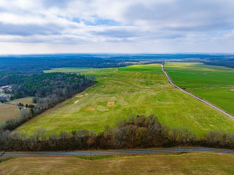 Henry 137 Miller-13-2