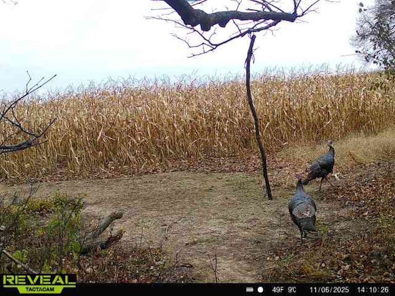 865814043293958-100-3-11062025141026-W1002855