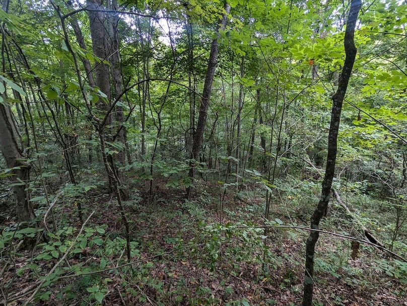 PXL_20240819_145329956