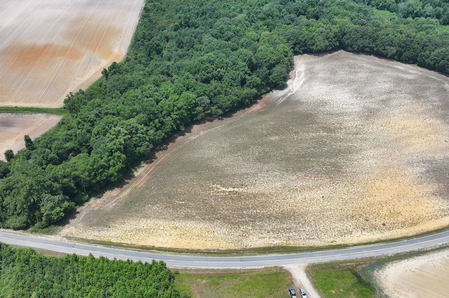 DJI_20240625104944_0202_D