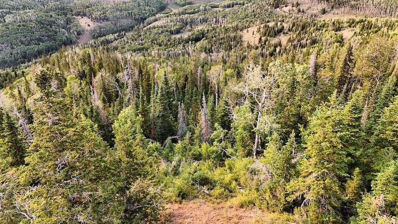 DJI_20250726190556_0278_D