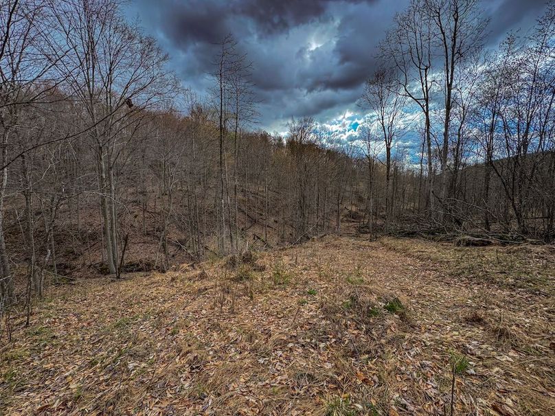 Wirt, WV 156.941 AC Full-13