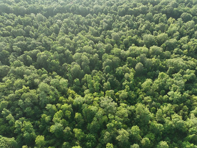 dji_fly_20230630_080832_200_1688137746587_photo