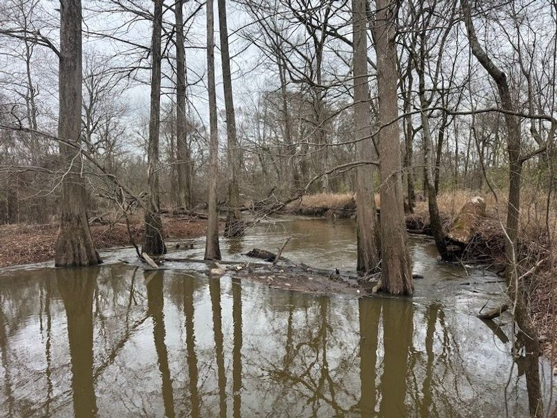 311 new20260217_0486