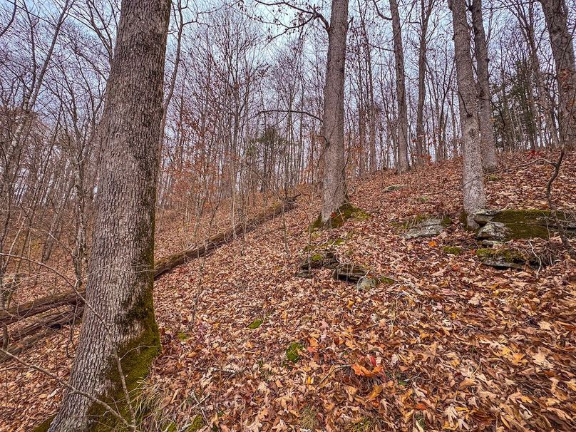 Ritchie, WV 15.5 AC Harper-09