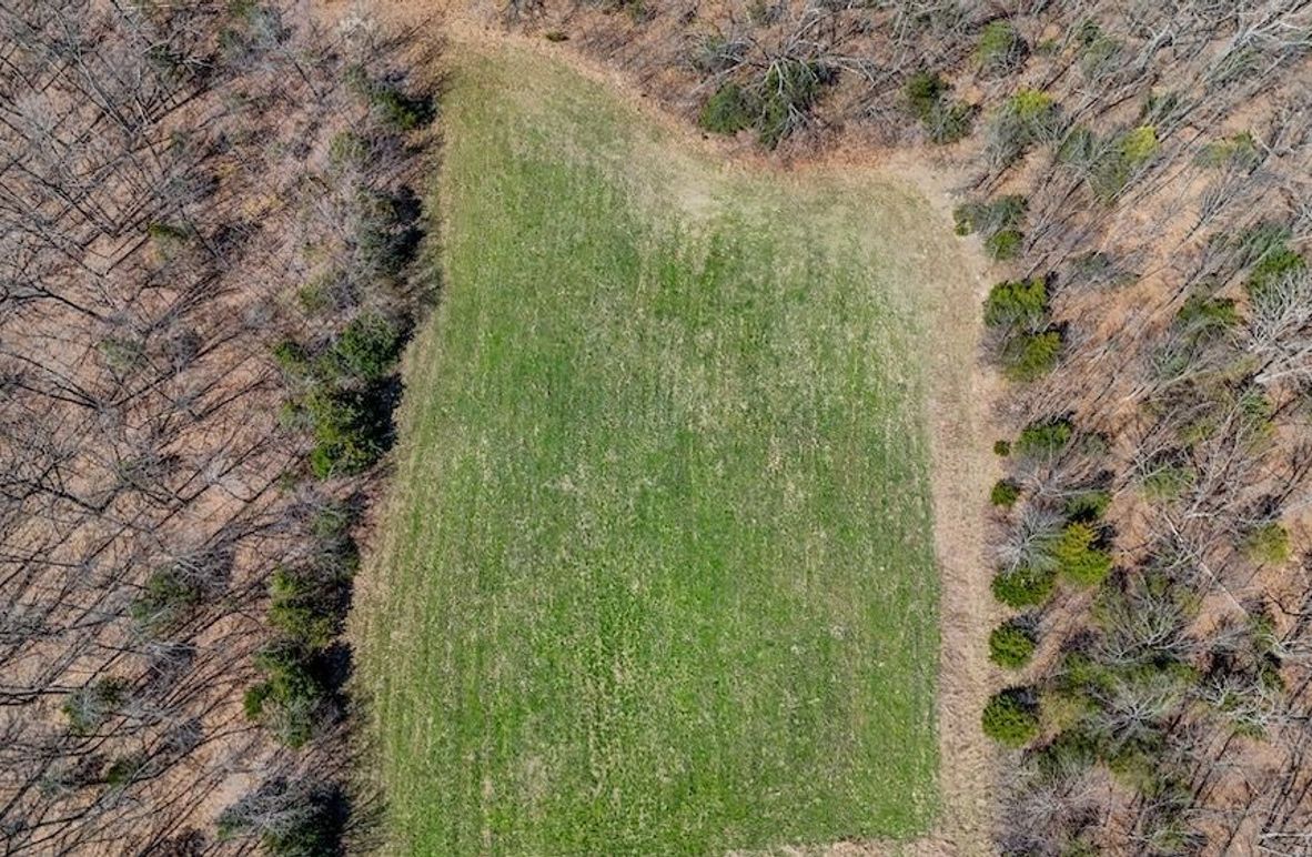 DJI_20250402113035_0006_D