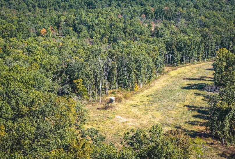 DJI_20251009053221_0622_D