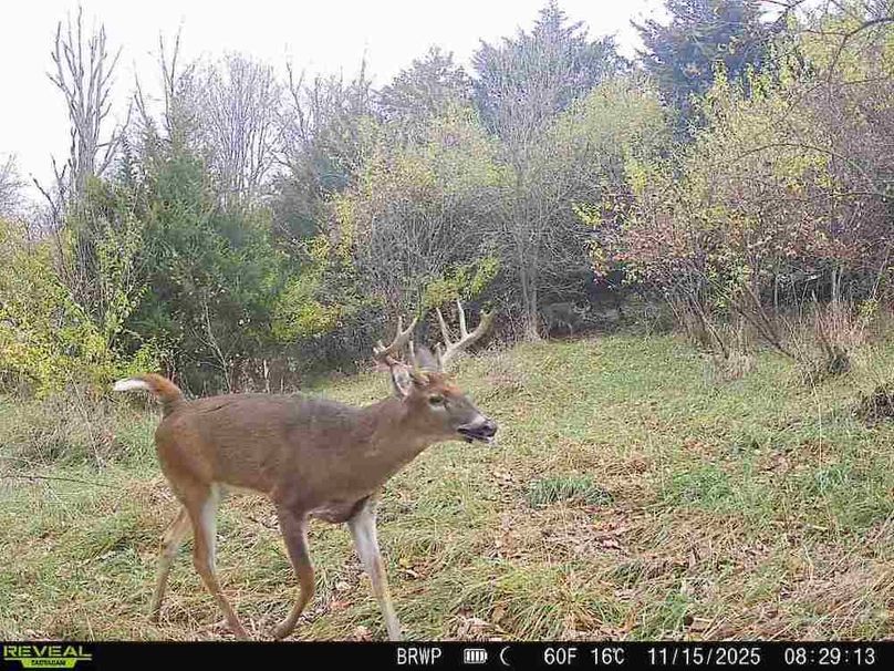 860322065924133-100-4-11152025082912-W1001005