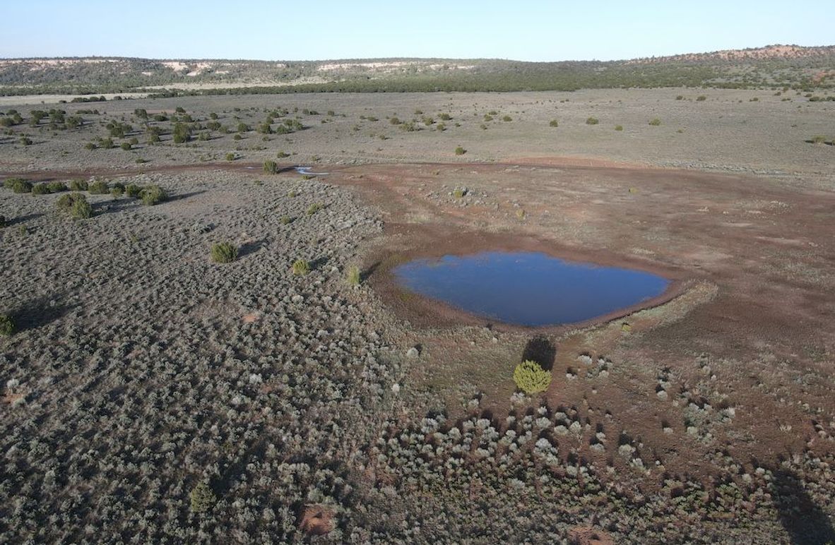 dji_fly_20240504_072604_306_1714829178674_photo